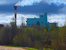 Электроэнергетику на торфе лишат господдержки  