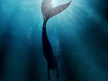 Международный день русалки и День тишины и медитации: какие праздники отмечают в России и мире 29 марта