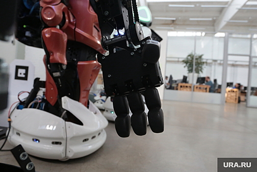 Пермские разработчики создали робота-компаньона для рыбалки