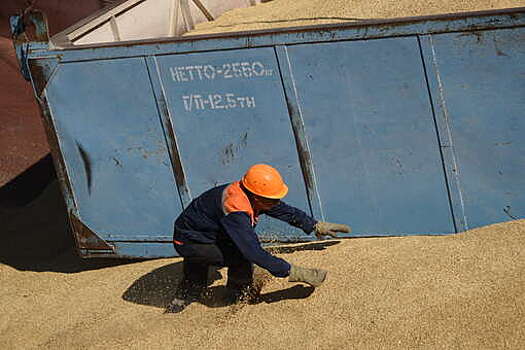 FT: Еврокомиссия намерена ввести пошлины на зерно из России в €95 за тонну