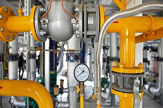 Власти Владимирской области взяли на контроль ситуацию в Карабанове