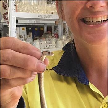 Австралийка сфотографировалась с ядовитой змеей. Герпетолога чуть не хватил удар
