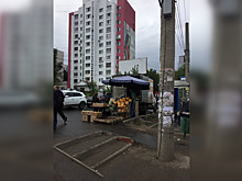 «Шум и вонь мешают жить»: самарцы пожаловались на стихийный рынок на Барбошиной поляне