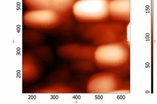 Красноярские учёные применяют нанотехнологии в растениеводстве