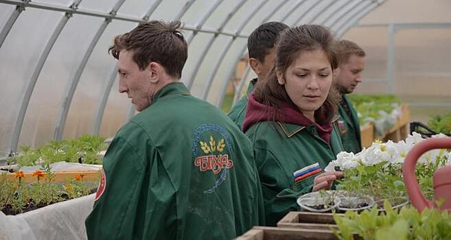 За дендрарий с биотопливом студенты БГСХА вошли в десятку лучших всероссийского конкурса «Мой зеленый вуз»