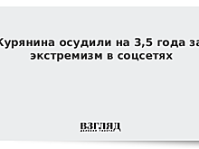 Курянина осудили на 3,5 года за экстремизм в соцсетях