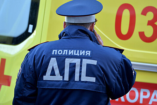 В Москве погибли два человека после столкновения автомобиля с деревом