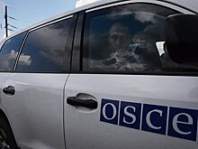 Тихое недоверие: почему ОБСЕ теряет свое влияние в Центральной Азии
