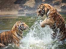 Какой праздник отмечается 27 июля