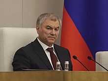 Володин ответил главе немецкого бундестага Клекнер на слова о «бывшей Советской Армии»