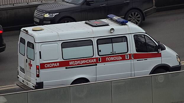В Ярославской области в ДТП с микроавтобусом погибли три человека