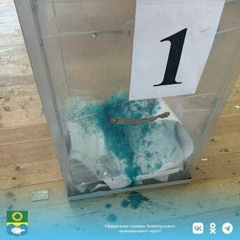 В Зеленоградске женщина залила зеленку в урну для голосования