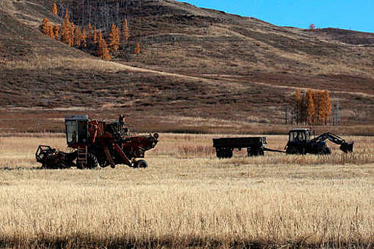 Сбор зерна в России в 2022 году вырос почти на 30% по сравнению с 2021 годом