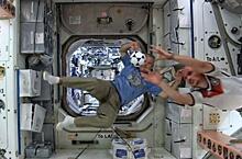 Космонавт: Играть в футбол на орбите проблематично даже в честь мундиаля