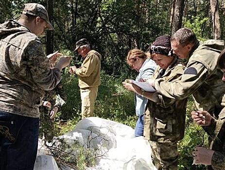 В Самарской области успешно завершена обработка лесов от опасного вредителя
