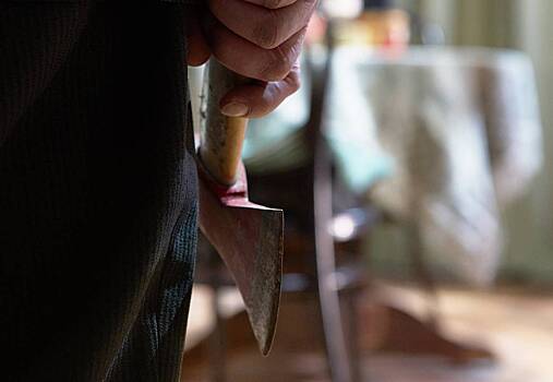 Пришедшего с топором на занятия российского школьника обезвредил учитель