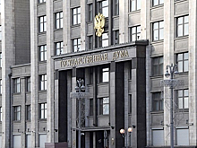 В Госдуме оценили возможность блокировки телефонных звонков от мошенников