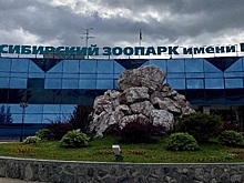 Новосибирцы получат скидки и кэшбэк за поход в зоопарк с «Картой жителя»