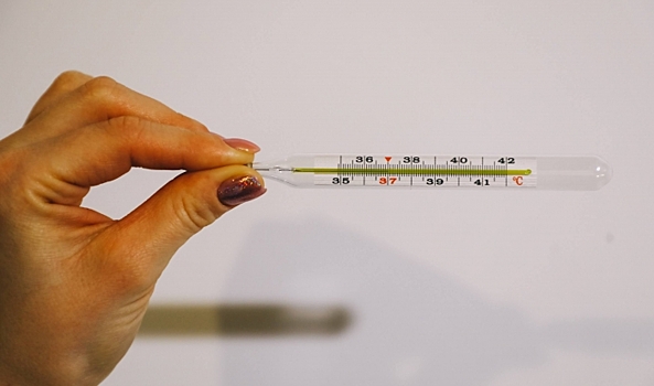 Волгоградцам напомнили, как защититься от инфекций во время путешествий за границу