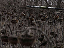 NYT: у Киева будет только одна "реальная возможность" перейти в наступление