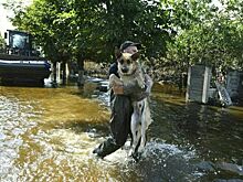 Роспотребнадзор: Ситуация с заболеваемостью в Херсонской области стабильна