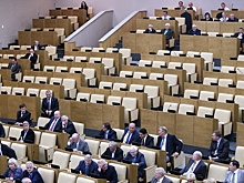 В России впервые представили бюджет на двух языках