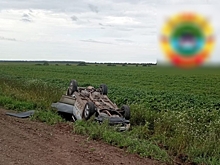 В ДТП под Полтавкой с перевернувшимся автомобилем погиб один пассажир