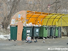 Екатеринбургская управляющая компания поплатилась за мусор и полчища крыс