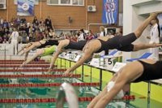 Волгоградские пловцы выиграли 3 медали на всероссийских соревнованиях