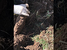 Под Калининградом при взрыве снаряда времен ВОВ пострадали двое детей