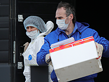 «При всем цинизме, летальных случаев не очень много»