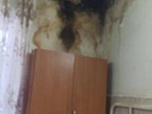 В Курске жильцам на Литовской. 95а/5 предложили временное жилье