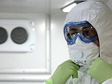 Германия готовится сажать за коронавирус