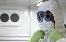 Германия готовится сажать за коронавирус
