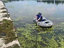 В Пензе прибрежную часть Суры начали очищать от мусора