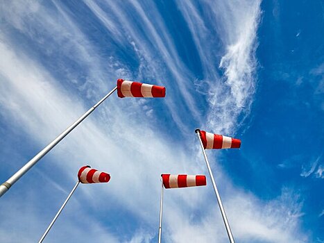 Желтый уровень погодной опасности объявили в Москве и области из-за ветра