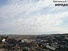 «Другой полигон»: как тюменцы поступают с бытовыми отходами