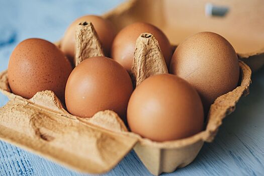 Почему нельзя использовать картонные коробки из-под яиц повторно