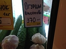 В Костроме начали продавать огурцы по цене мяса