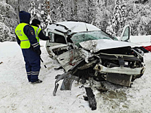 В Нижегородской области в аварии погибли водитель и пассажир