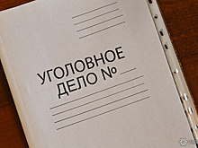 Обвинение потребовало переквалифицировать дело о кровавой расправе над нижегородской полицейской