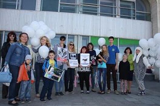 Зоозащитники Ульяновска вышли на митинг