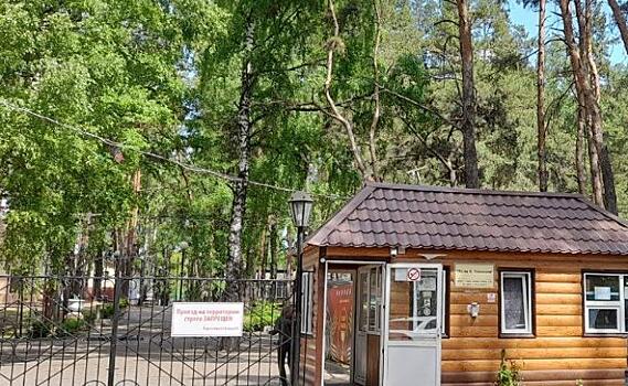 В Курской области ​летом 2023 года в лагерях и санаториях отдохнут 37 тысяч детей