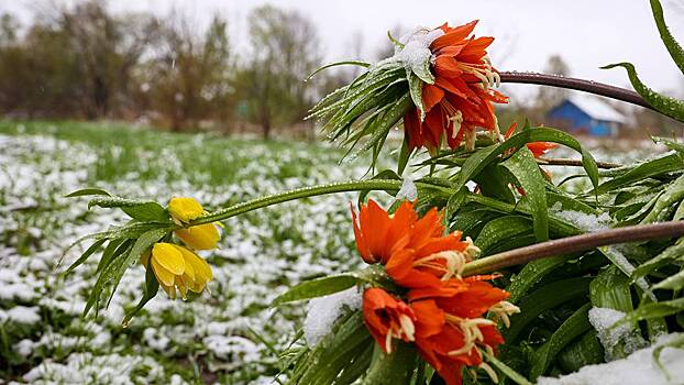 Синоптик Ильин рассказал, когда в Москве выпадет первый снег
