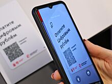 В Госдуме рассказали о махинациях мошенников с QR-кодами