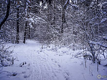 "Что-то из ряда вон": криминалист рассказал о странной детали в пропаже Усольцевых