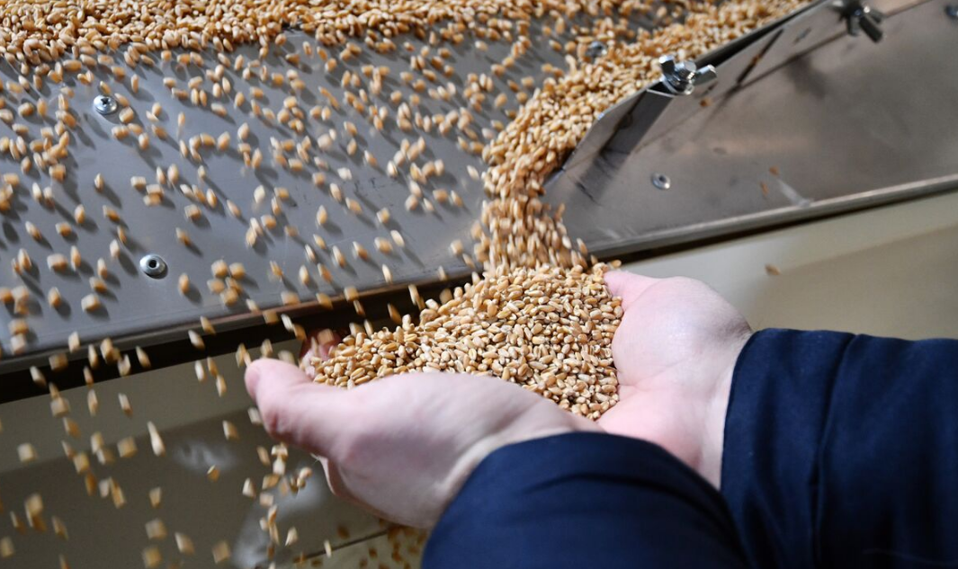 В МИД РФ высказались о сроке продления зерновой сделки