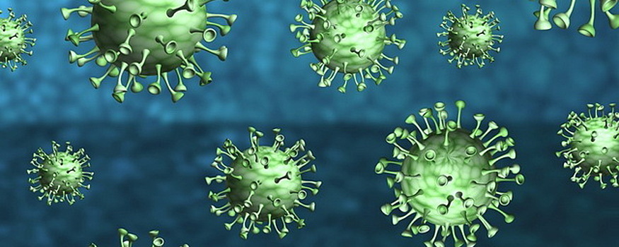 В Приморском крае выявили 79 новых случаев коронавируса
