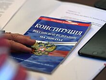 Появились подробности голосования по Конституции