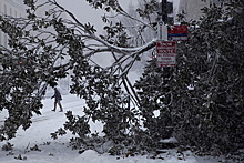 В США пять человек погибли из-за снежного шторма